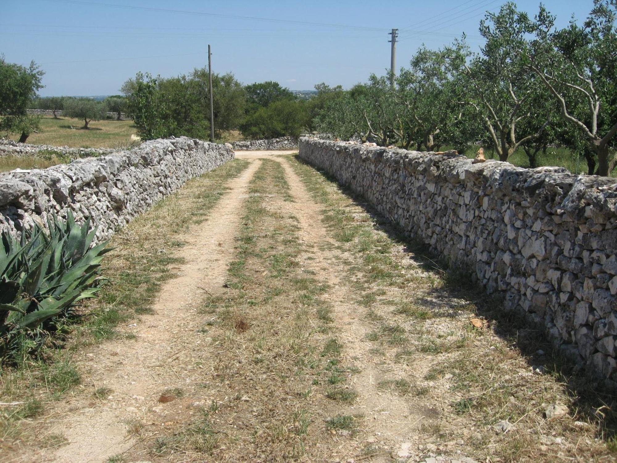 Red Rose B&B Martina Franca Exterior photo